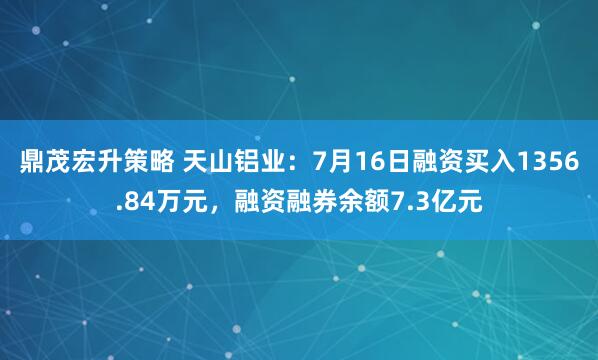 鼎茂宏升策略 天山铝业：7月16日融资买入1356.84万元，融资融券余额7.3亿元