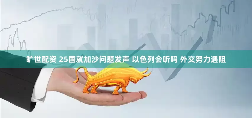 旷世配资 25国就加沙问题发声 以色列会听吗 外交努力遇阻