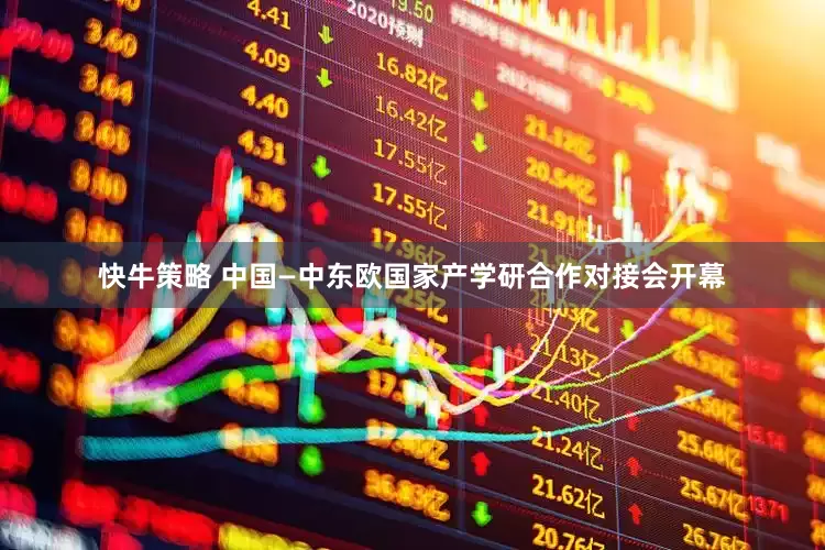 快牛策略 中国—中东欧国家产学研合作对接会开幕